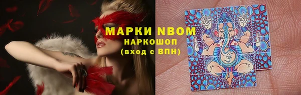 ГАЛЛЮЦИНОГЕННЫЕ ГРИБЫ Михайловка