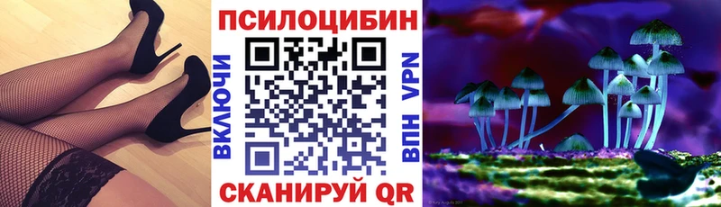 Купить закладки  Сургут  Псилоцибиновые грибы Cubensis 